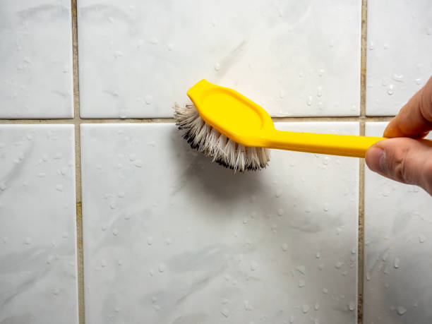 Best Mold Testing and Inspection Services in Beaver, WV