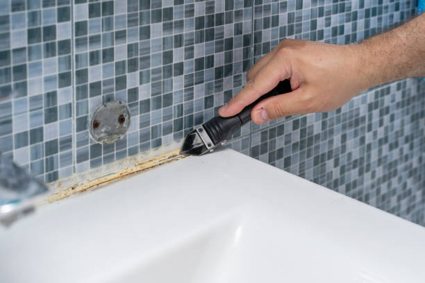 Best Insurance-Related Mold Remediation in Beaver, WV